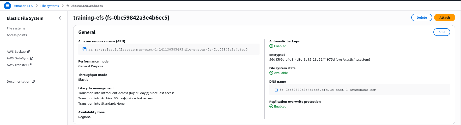 Pantalla de detalle del filesystem training-efs ya creado en la consola de EFS, con performance mode General Purpose, throughput Elastic y lifecycle management configurado