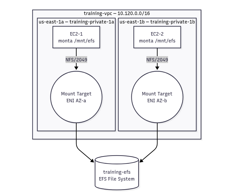 Diagrama de red de como se conectan las EC2 y EFS a traves del mount target